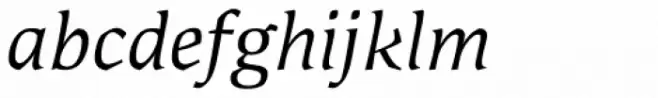 Laricio Italic