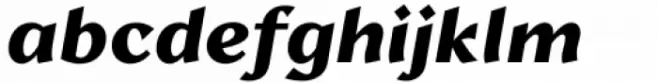 Lark Bold Italic
