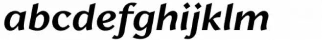 Lark Medium Italic