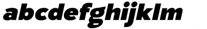 Laro Black Italic