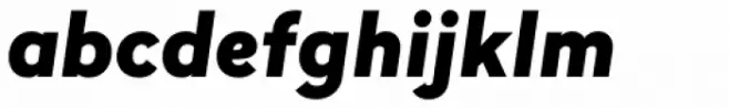 Lasiver Black Italic