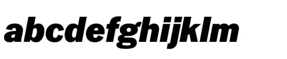Latino Gothic Black Italic