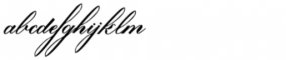 Lavenda