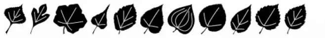 Leaf Assortment