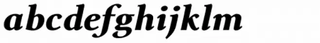 Lectio Extra Black Italic