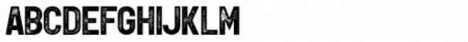 Leftfield Sans Rough Bold