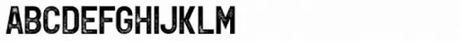 Leftfield Sans Rough Regular