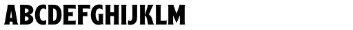 Leftfield Serif Bold