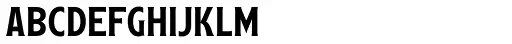 Leftfield Serif Regular