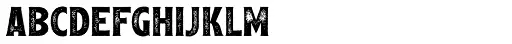 Leftfield Serif Rough Bold