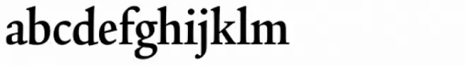 Legacy Serif Pro Bold Condensed