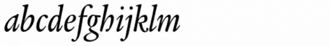 Legacy Serif Pro Medium Condensed Italic