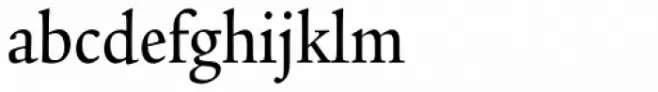 Legacy Serif Pro Medium Condensed