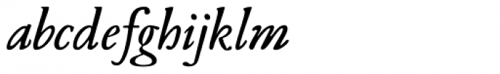 Leidener Bold Italic