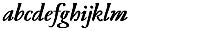 Leidener Heavy Italic