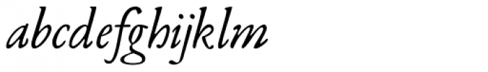 Leidener Italic