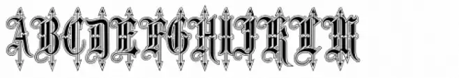Leothric Lined Medium