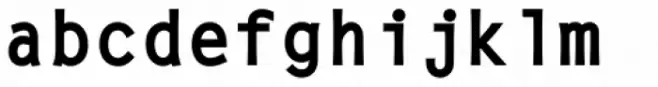 Letter Gothic L Bold