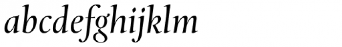 Levato Pro Italic
