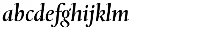 Levato Pro Medium Italic