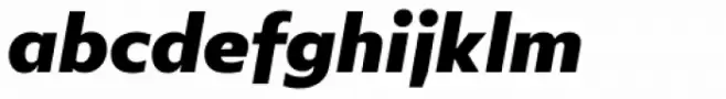 Lexis Alt Black Italic