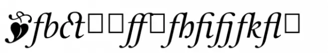 Leyden Italic Special