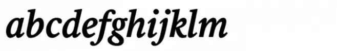 Leyden News Bold Italic