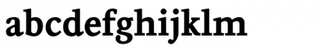 Leyden News Bold