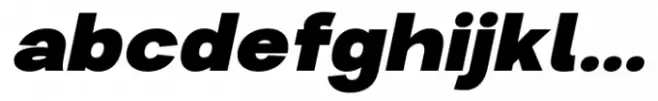 Liak Black Italic