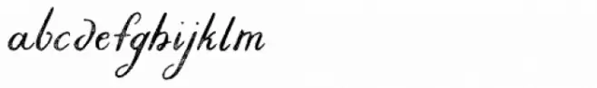Liesel Printed Regular