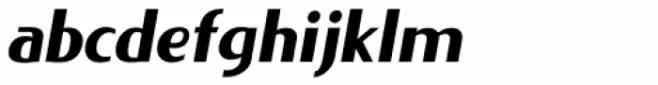 Lieur Black Italic