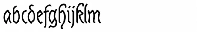 Linear Fraktu Medium