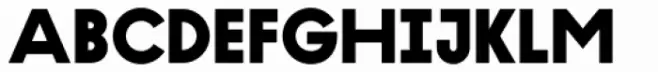 Lineatura Bold