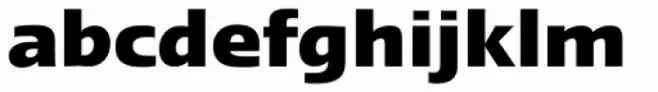 Linotype Ergo Hebrew Bold