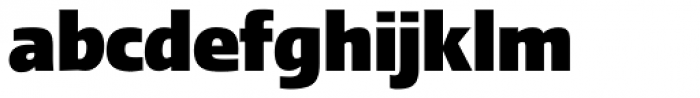 Linotype Ergo Pro Black Condensed
