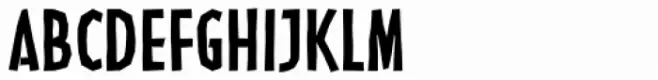 Linotype Nordica Bold