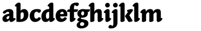 Linotype Syntax Letter Heavy