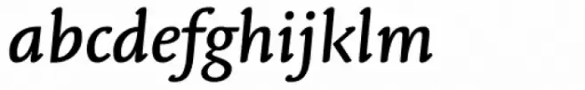 Linotype Syntax Letter Medium Italic