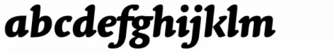 Linotype Syntax Letter OsF Heavy Italic