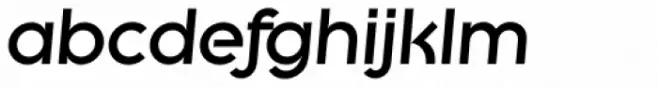 Litera TS Heavy Italic
