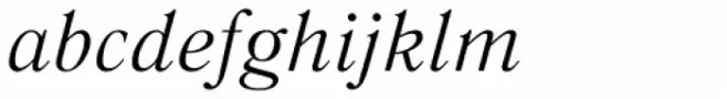 Literaturnaya Italic