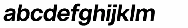 Live Grotesk Bold Italic