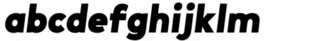 Lonie Black Italic