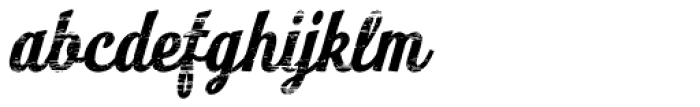 Look Script Wood Bold
