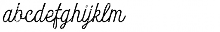 Look Script Wood Light