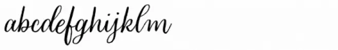 Looking Flowers Script Pro
