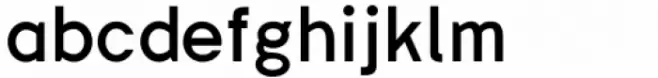 Ludwig Sans Bold
