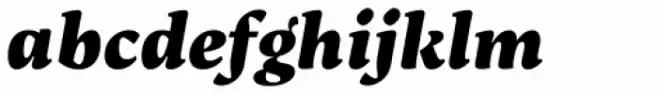 Maecenas Black Italic