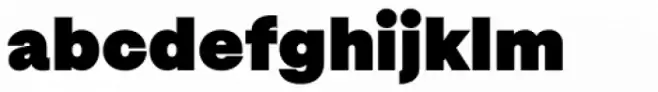 Magazine Grotesque Heavy