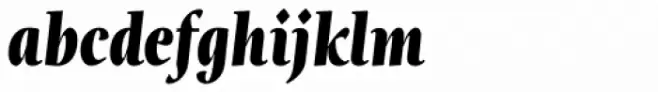 Magneta Condensed Black Italic